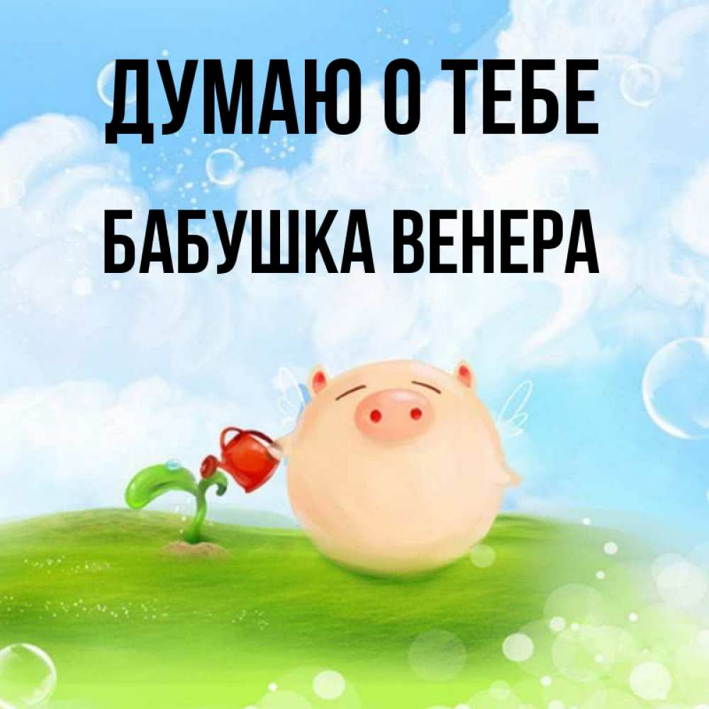Открытка на каждый день с именем, Бабушка-Венера Думаю о тебе позитивная свинюшка Прикольная открытка с пожеланием онлайн скачать бесплатно 
