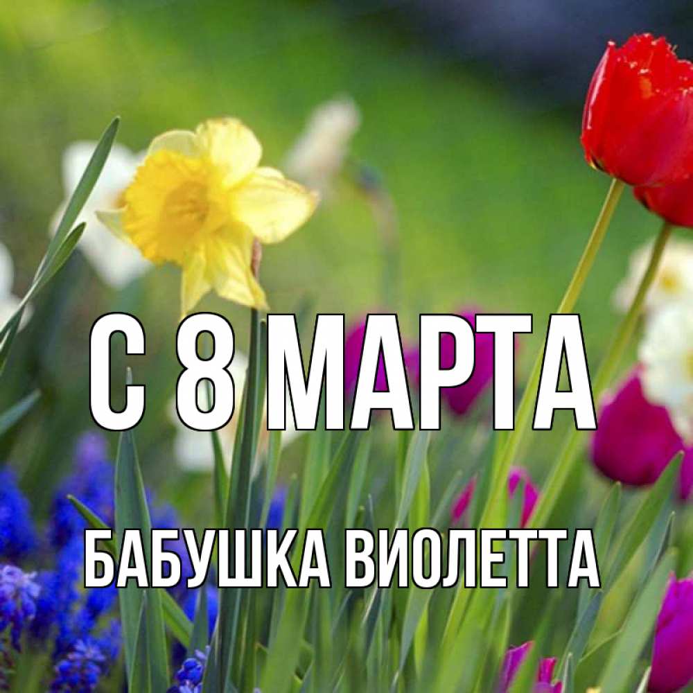 Открытка на каждый день с именем, Бабушка-Виолетта С 8 марта международный женский день 3 Прикольная открытка с пожеланием онлайн скачать бесплатно 