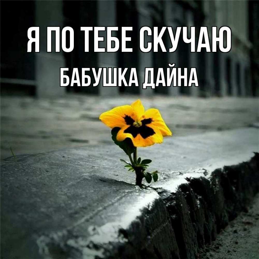 Открытка на каждый день с именем, Бабушка-Дайна Я по тебе скучаю надеюсь будет лучше Прикольная открытка с пожеланием онлайн скачать бесплатно 