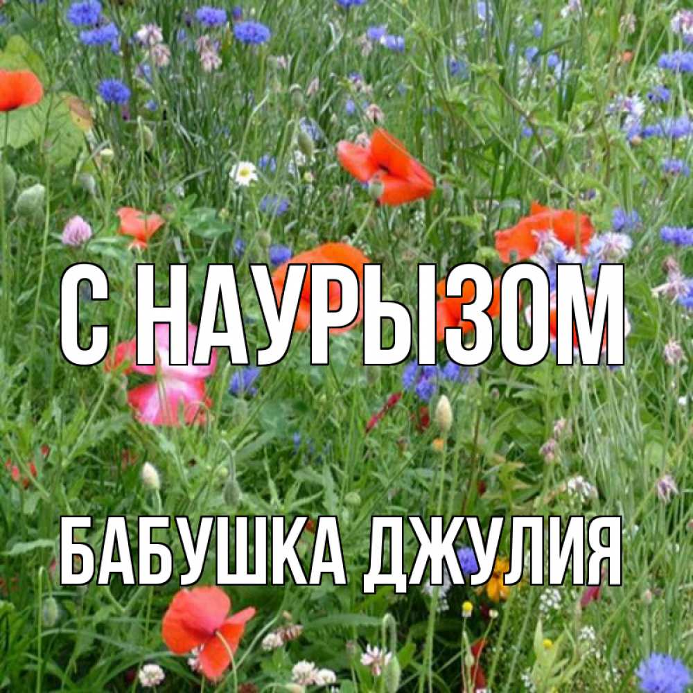Открытка на каждый день с именем, Бабушка-Джулия С наурызом праздник весны наурыз супер открытка Прикольная открытка с пожеланием онлайн скачать бесплатно 