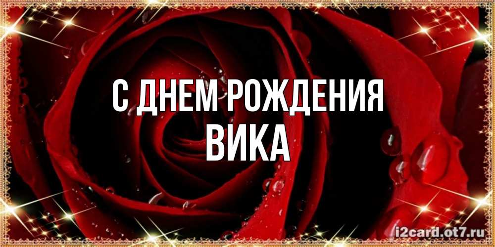 Открытка на каждый день с именем, Вика С днем рождения цветок в росе на день рождения Прикольная открытка с пожеланием онлайн скачать бесплатно 