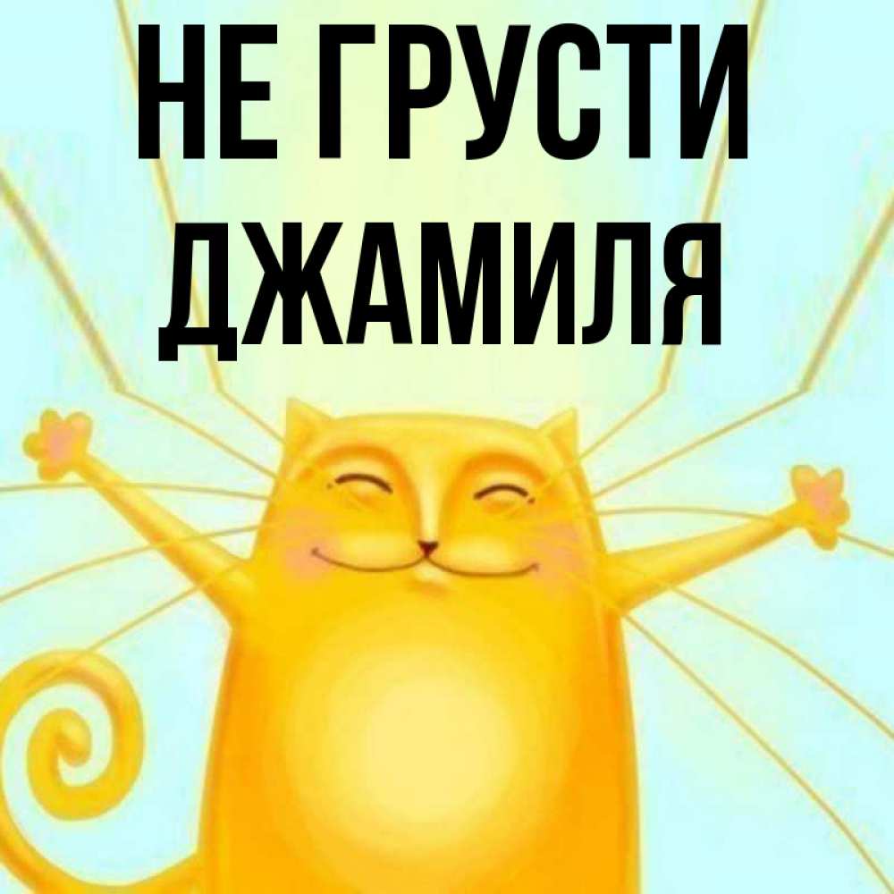 Открытка на каждый день с именем, Джамиля Не грусти обнимашки усатые Прикольная открытка с пожеланием онлайн скачать бесплатно 