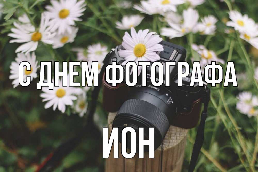 Открытка на каждый день с именем, Ион С днем фотографа с днем фотографа Прикольная открытка с пожеланием онлайн скачать бесплатно 