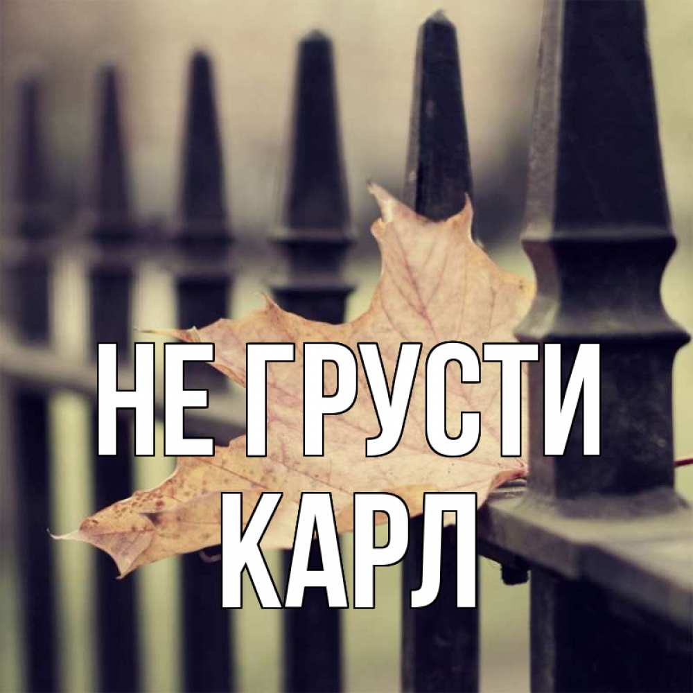 Открытка на каждый день с именем, Карл Не грусти лист клена Прикольная открытка с пожеланием онлайн скачать бесплатно 