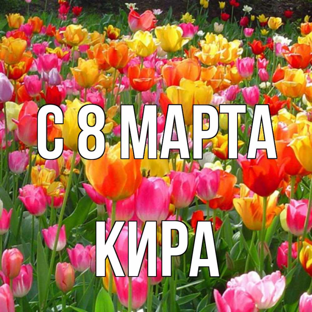 Открытка на каждый день с именем, Кира С 8 МАРТА на международный женский день Прикольная открытка с пожеланием онлайн скачать бесплатно 
