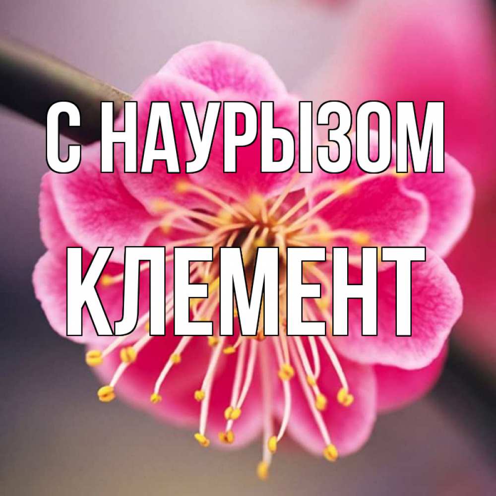 Открытка на каждый день с именем, Клемент С наурызом цветы Прикольная открытка с пожеланием онлайн скачать бесплатно 