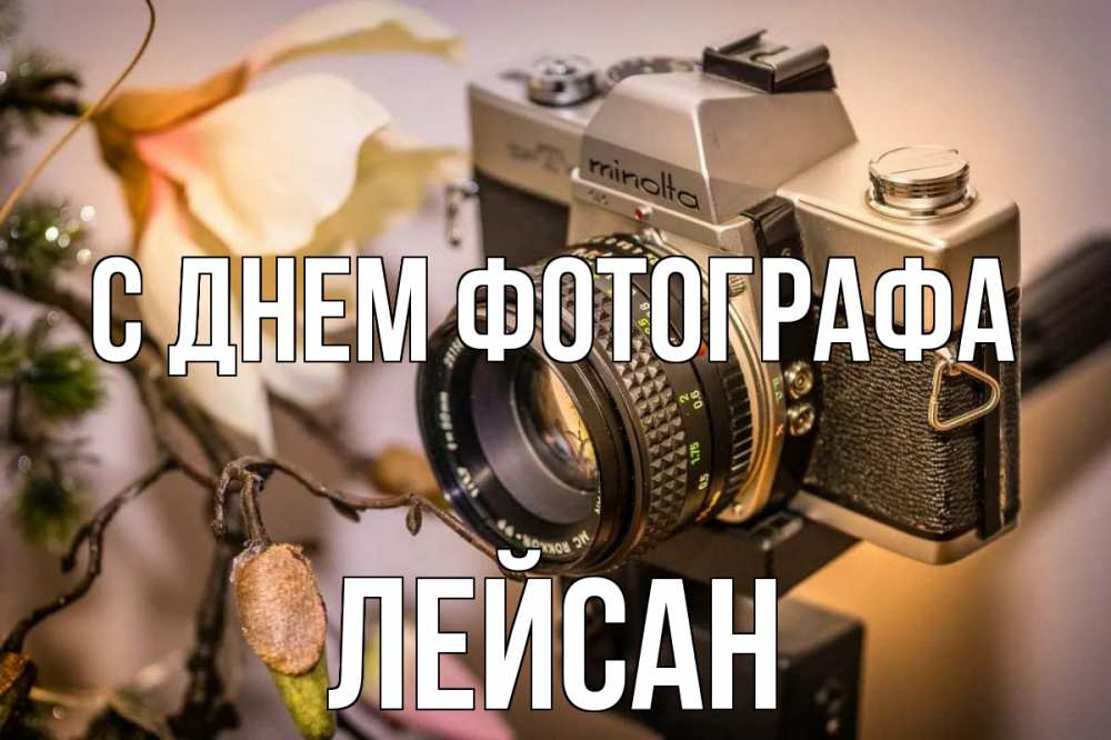 Открытка на каждый день с именем, Лейсан С днем фотографа с днем фотографа 1 Прикольная открытка с пожеланием онлайн скачать бесплатно 