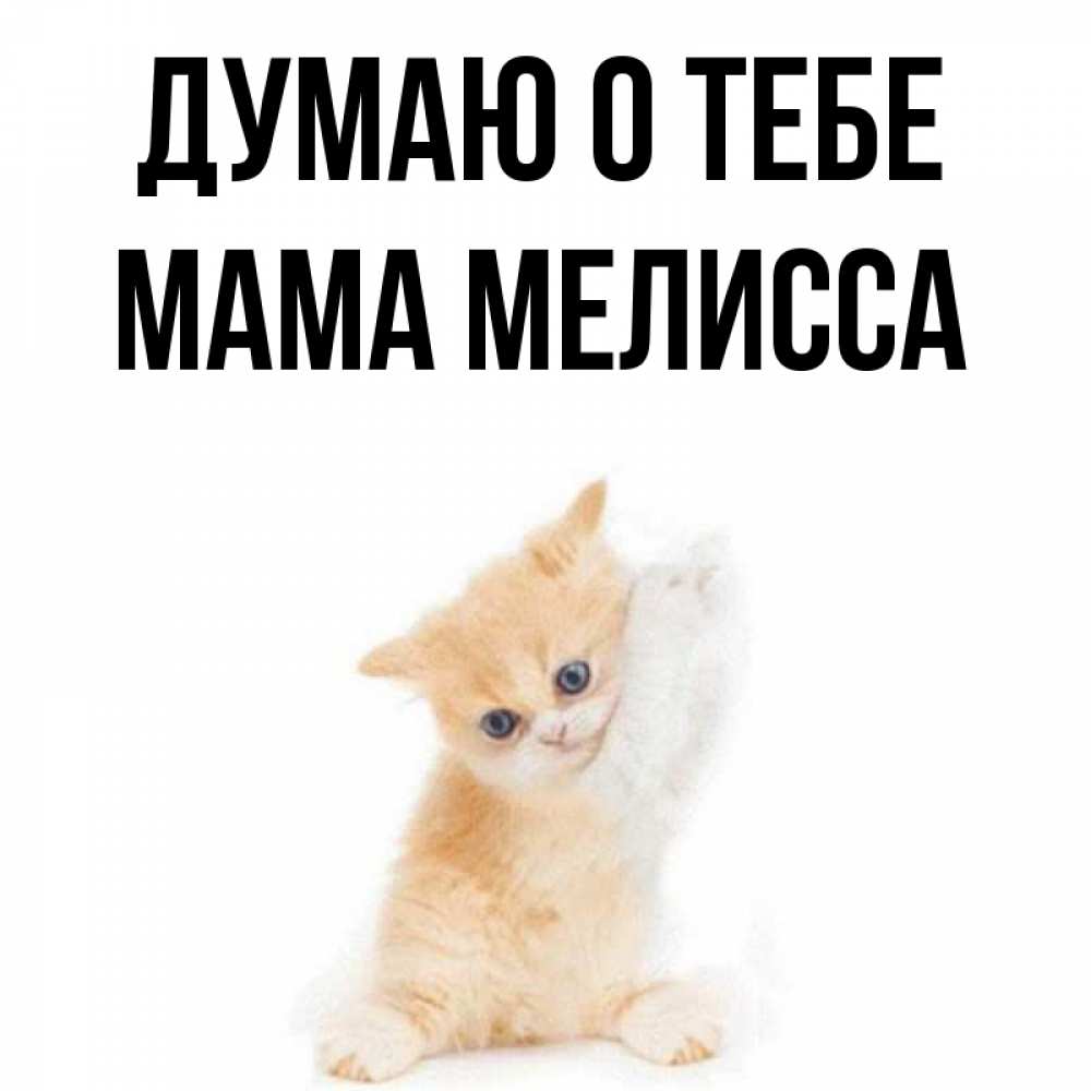 Открытка на каждый день с именем, Мама-Мелисса Думаю о тебе зверушки и милота Прикольная открытка с пожеланием онлайн скачать бесплатно 