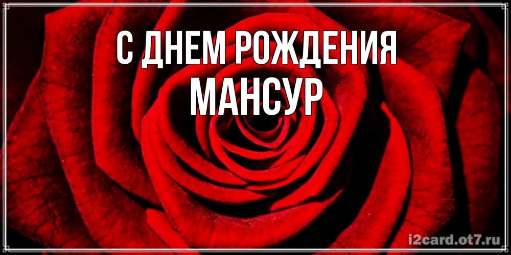 Открытка на каждый день с именем, Мансур С днем рождения алая роза Прикольная открытка с пожеланием онлайн скачать бесплатно 
