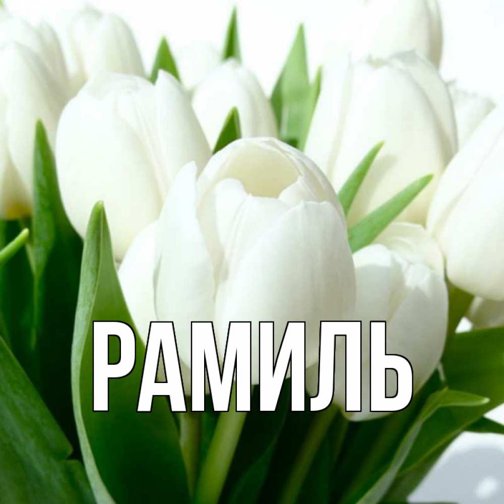 Открытка на каждый день с именем, Рамиль Главная цветы Прикольная открытка с пожеланием онлайн скачать бесплатно 