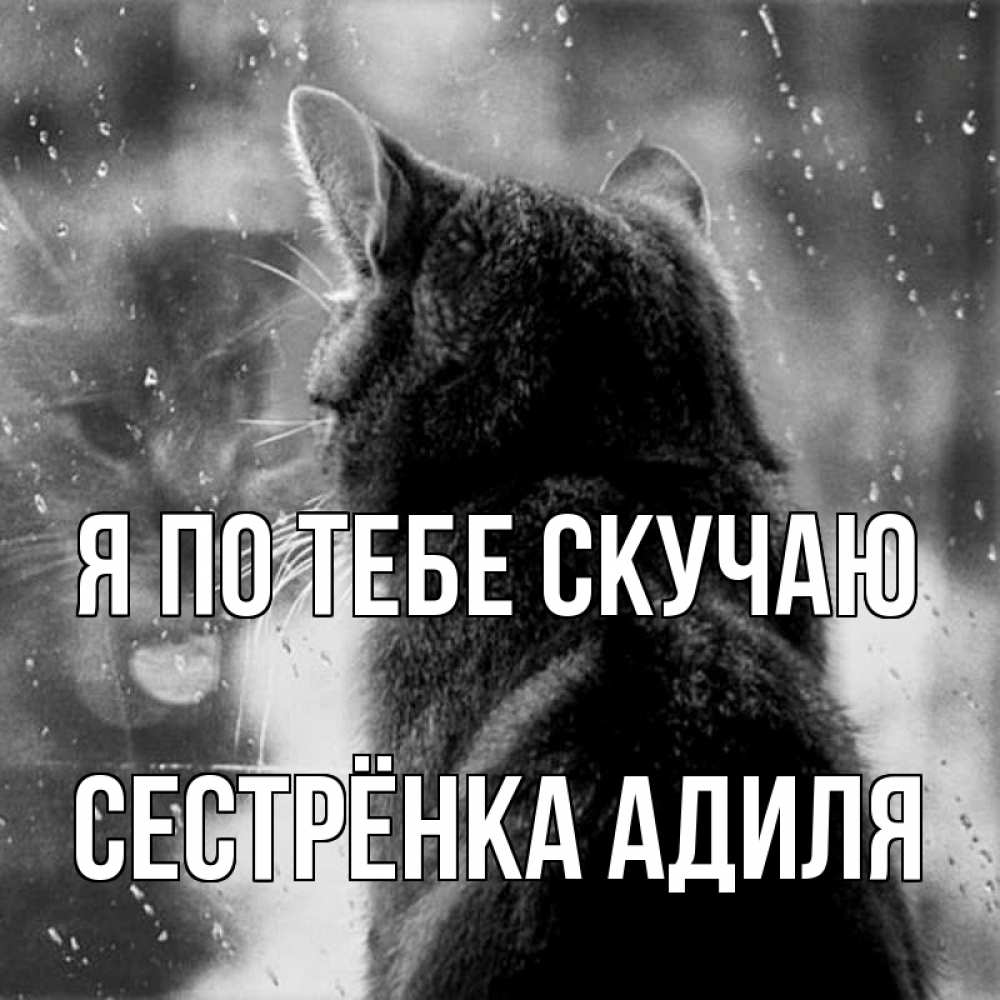 Открытка на каждый день с именем, Сестрёнка-Адиля Я по тебе скучаю скорее ко мне приходи 1 Прикольная открытка с пожеланием онлайн скачать бесплатно 