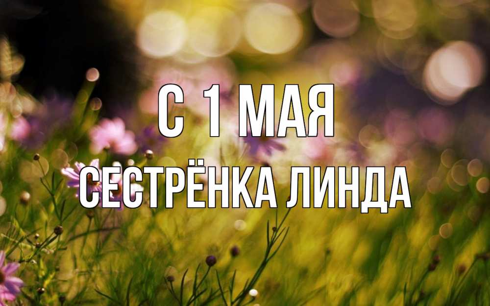 Открытка на каждый день с именем, Сестрёнка-Линда С 1 мая С 1 мая Прикольная открытка с пожеланием онлайн скачать бесплатно 