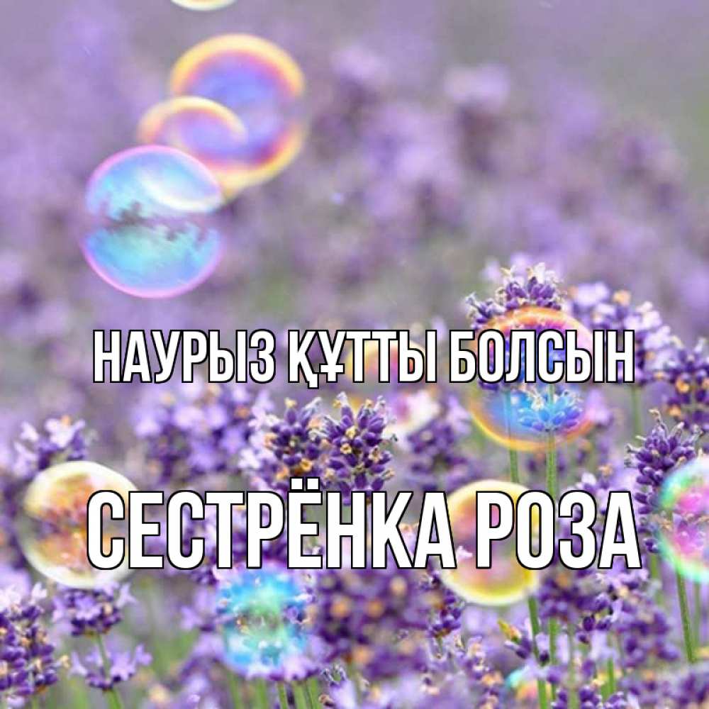 Открытка на каждый день с именем, Сестрёнка-Роза Наурыз құтты болсын цветы Прикольная открытка с пожеланием онлайн скачать бесплатно 