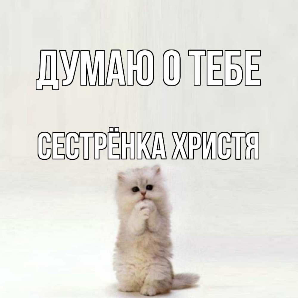Открытка на каждый день с именем, Сестрёнка-Христя Думаю о тебе кот стоит на задних лапах Прикольная открытка с пожеланием онлайн скачать бесплатно 