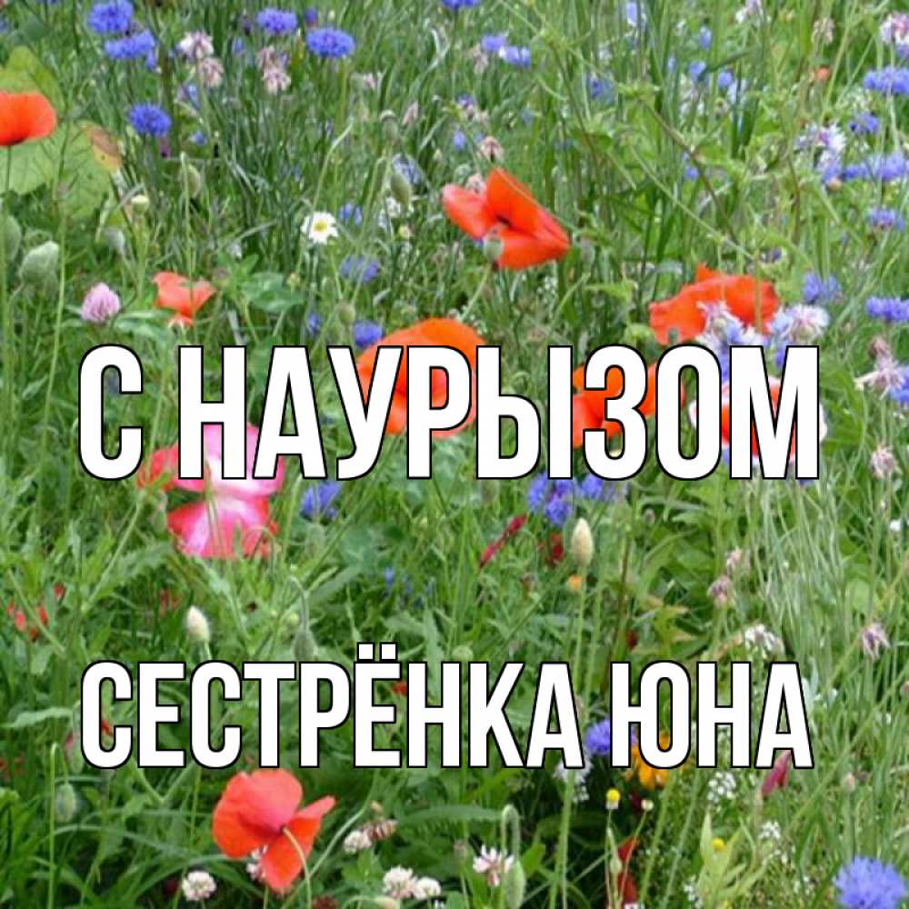 Открытка на каждый день с именем, Сестрёнка-Юна С наурызом праздник весны наурыз супер открытка Прикольная открытка с пожеланием онлайн скачать бесплатно 