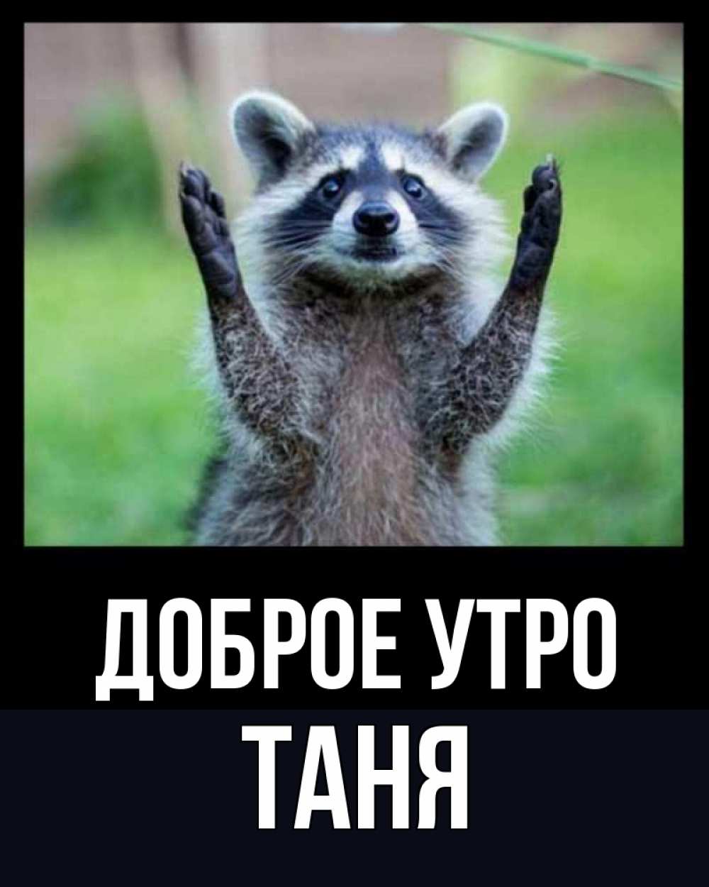Открытка на каждый день с именем, Таня Доброе утро хорошее настроение утречком Прикольная открытка с пожеланием онлайн скачать бесплатно 