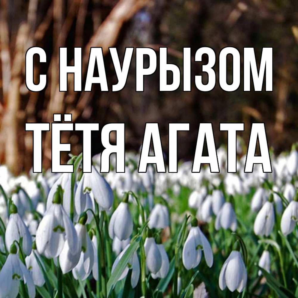 Открытка на каждый день с именем, Тётя-Агата С наурызом с подснежниками 1 Прикольная открытка с пожеланием онлайн скачать бесплатно 