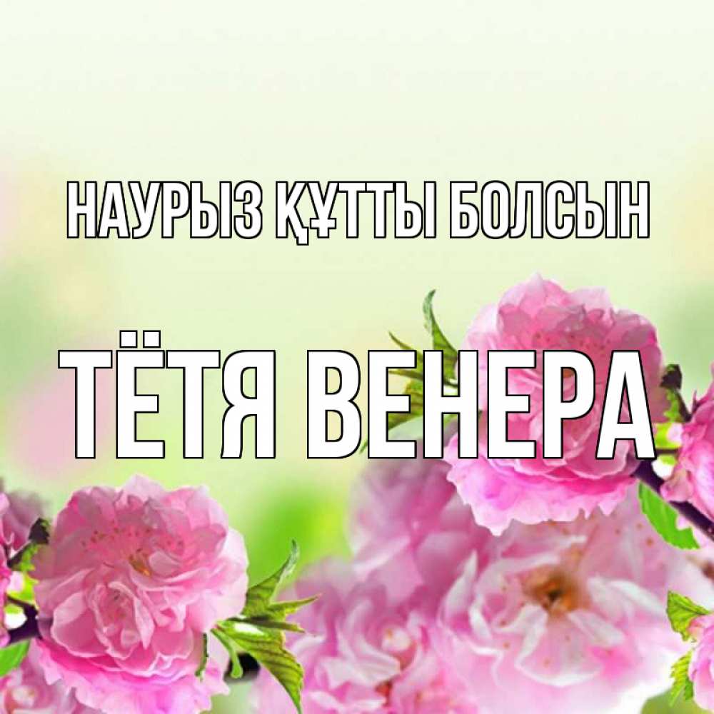 Открытка на каждый день с именем, Тётя-Венера Наурыз құтты болсын цветы Прикольная открытка с пожеланием онлайн скачать бесплатно 