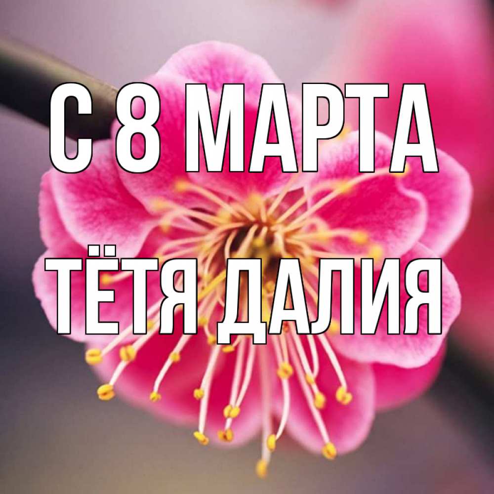 Открытка на каждый день с именем, Тётя-Далия С 8 МАРТА цветы Прикольная открытка с пожеланием онлайн скачать бесплатно 