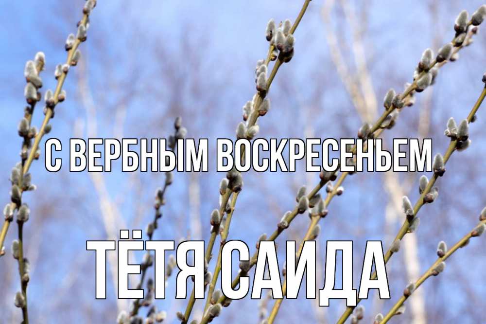Открытка на каждый день с именем, Тётя-Саида С вербным воскресеньем верба Прикольная открытка с пожеланием онлайн скачать бесплатно 