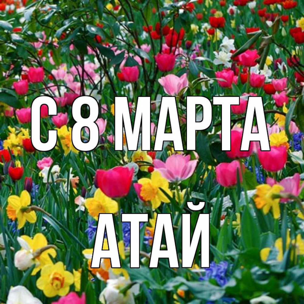 Открытка на каждый день с именем, Атай С 8 марта с международным женским днем поздравления для женщины Прикольная открытка с пожеланием онлайн скачать бесплатно 