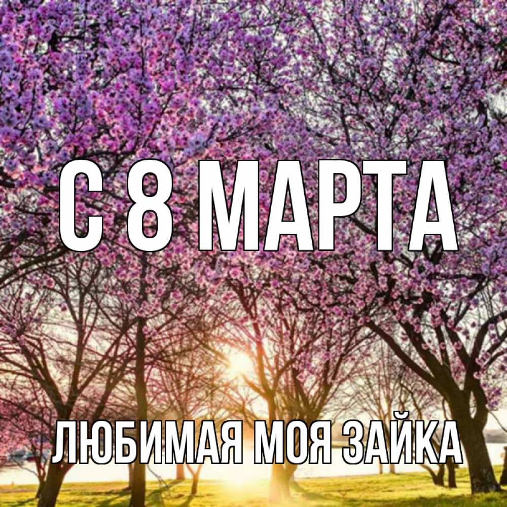 Картинка С 8 МАРТА, Любимая моя зайка
