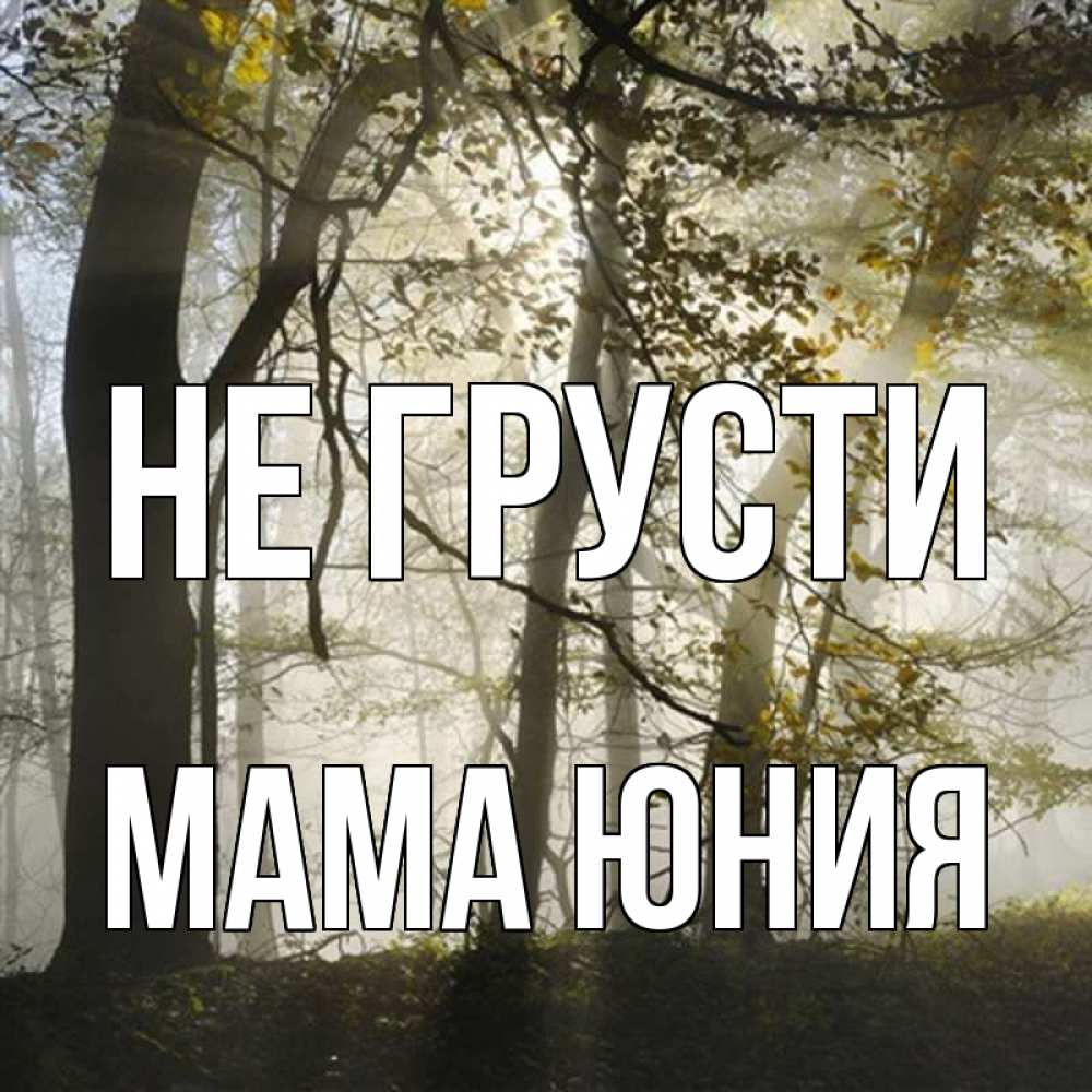 Открытка на каждый день с именем, Мама-Юния Не грусти лес и свет Прикольная открытка с пожеланием онлайн скачать бесплатно 