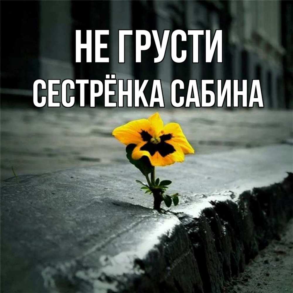 Открытка на каждый день с именем, Сестрёнка-Сабина Не грусти не сдавайся Прикольная открытка с пожеланием онлайн скачать бесплатно 
