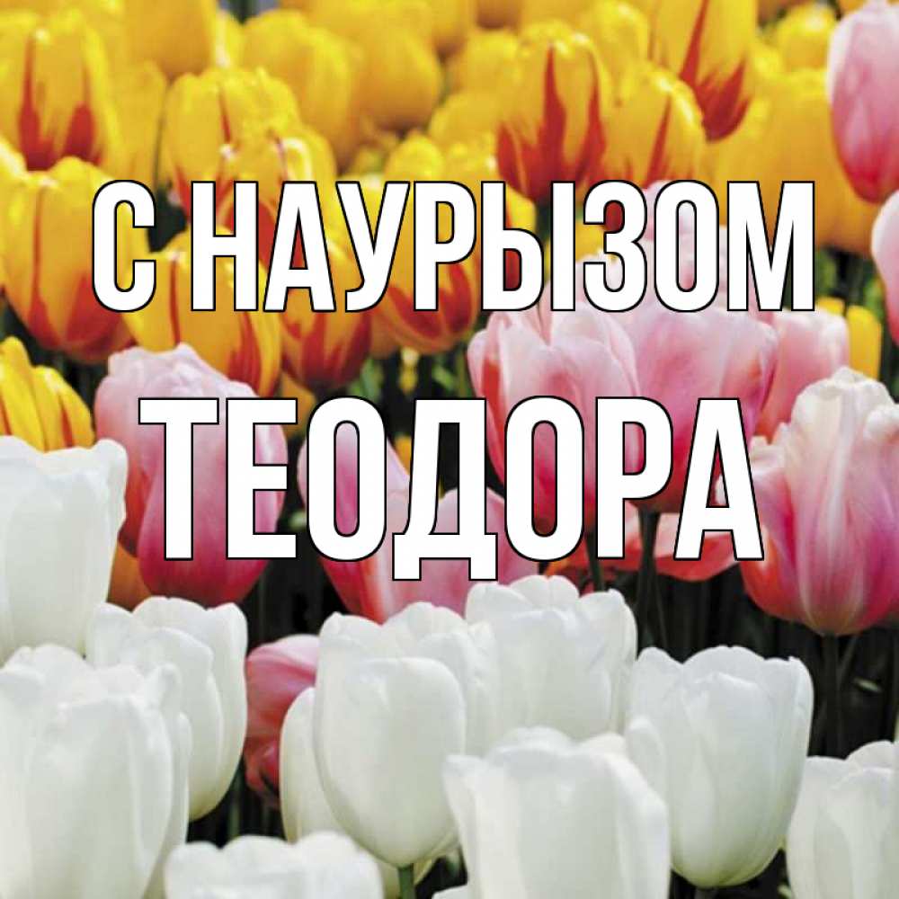 Открытка на каждый день с именем, Теодора С наурызом разноцветные цветы Прикольная открытка с пожеланием онлайн скачать бесплатно 