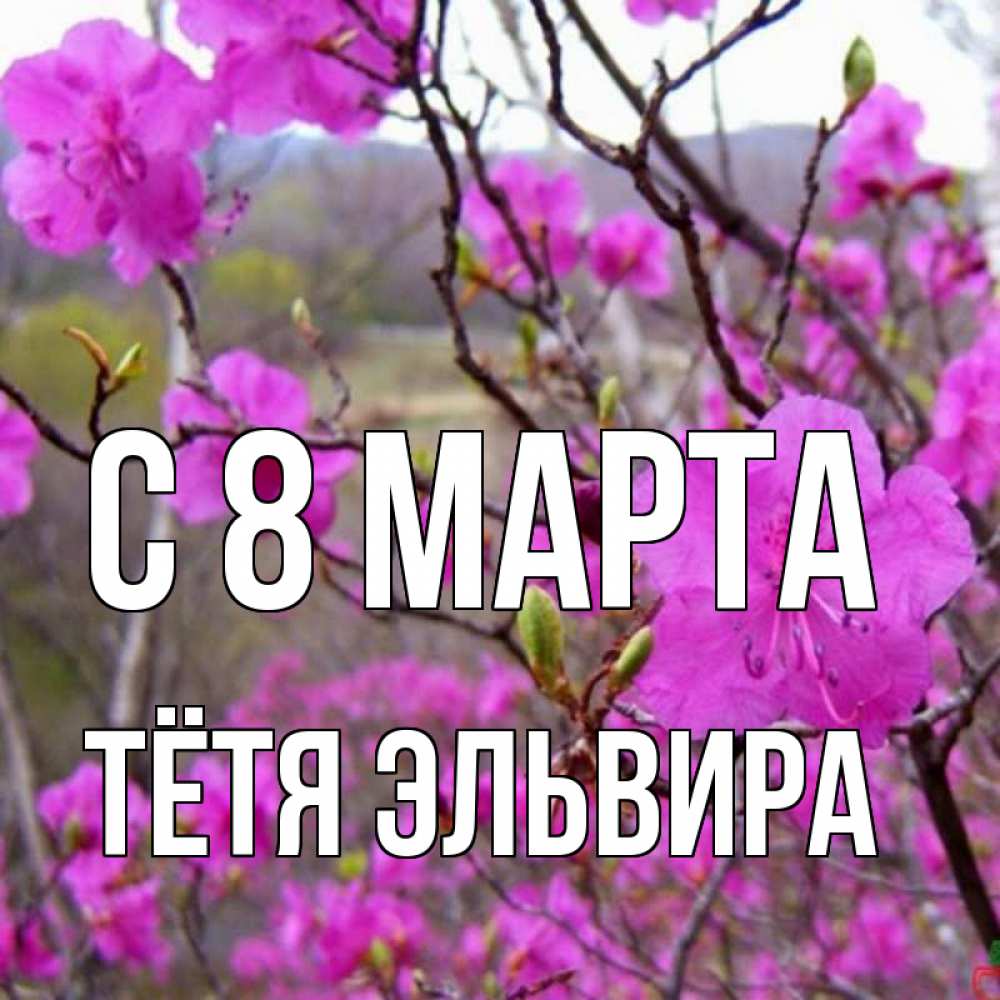 Открытка на каждый день с именем, Тётя-Эльвира С 8 марта международный женский день Прикольная открытка с пожеланием онлайн скачать бесплатно 