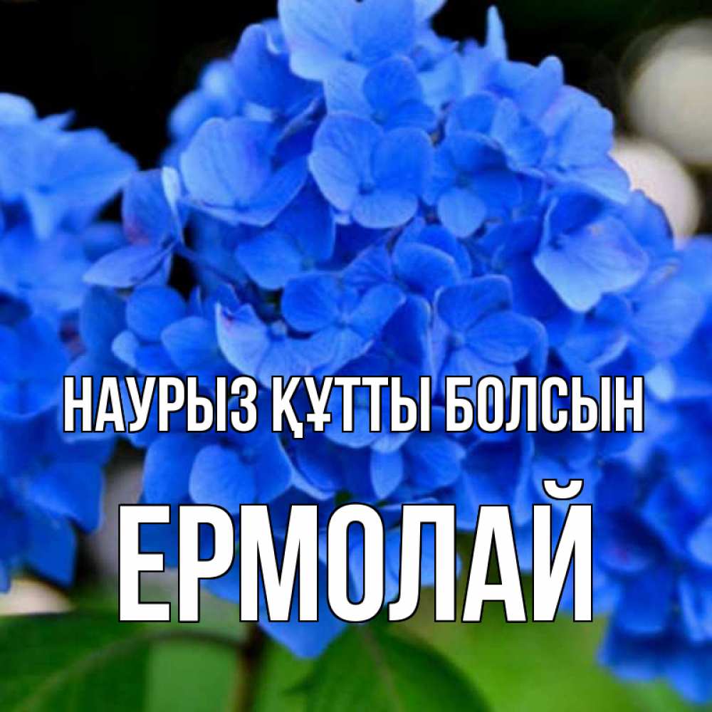 Открытка на каждый день с именем, Ермолай Наурыз құтты болсын синие цветы Прикольная открытка с пожеланием онлайн скачать бесплатно 
