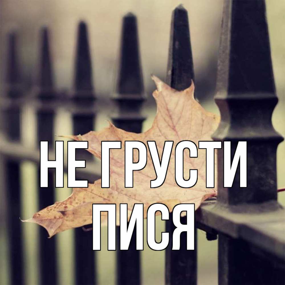 Открытка на каждый день с именем, пися Не грусти лист клена Прикольная открытка с пожеланием онлайн скачать бесплатно 