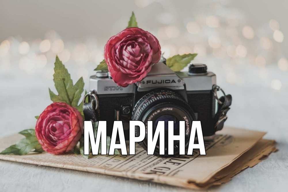 Открытка на каждый день с именем, Марина Главная с днем фотографа Прикольная открытка с пожеланием онлайн скачать бесплатно 