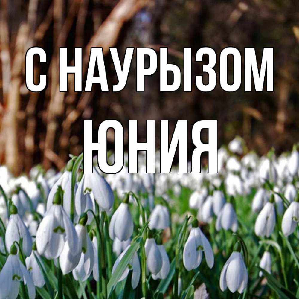 Открытка на каждый день с именем, Юния С наурызом с подснежниками 1 Прикольная открытка с пожеланием онлайн скачать бесплатно 