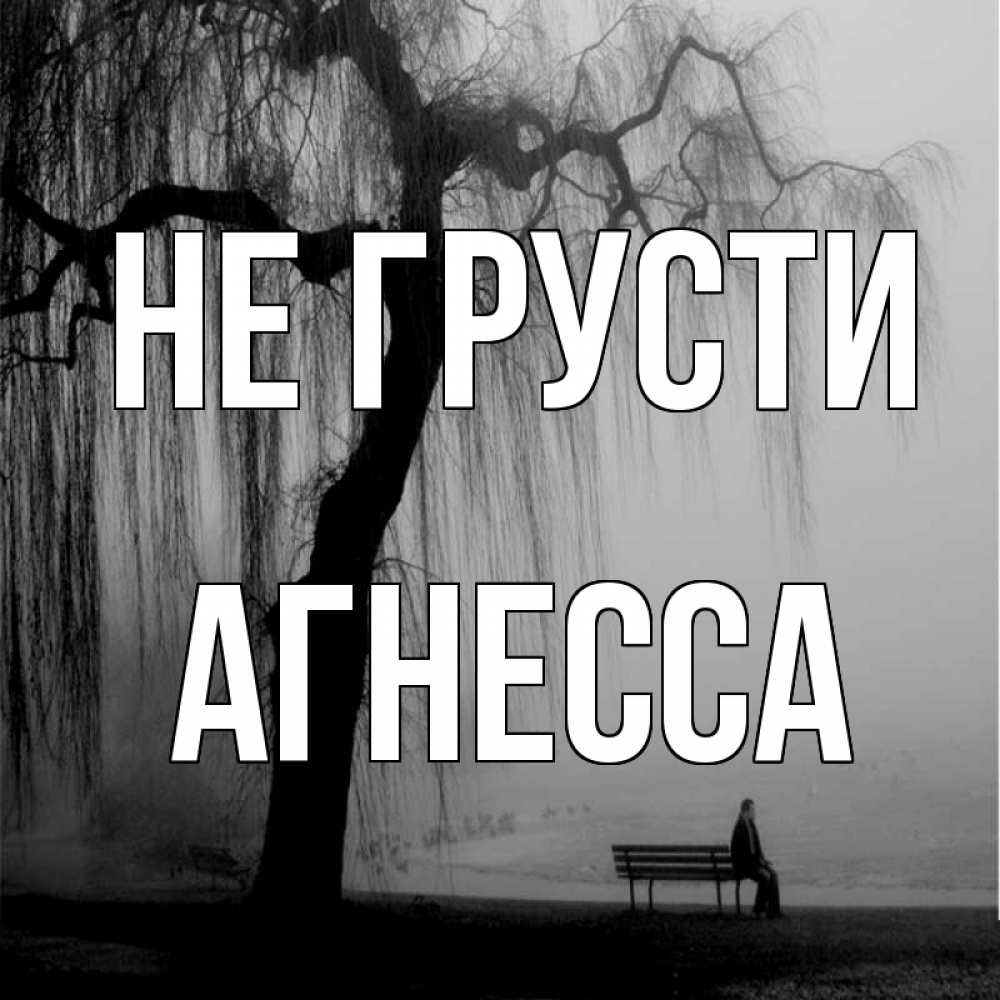 Открытка на каждый день с именем, Агнесса Не грусти висящие ветки дерева и лавочка под деревом Прикольная открытка с пожеланием онлайн скачать бесплатно 