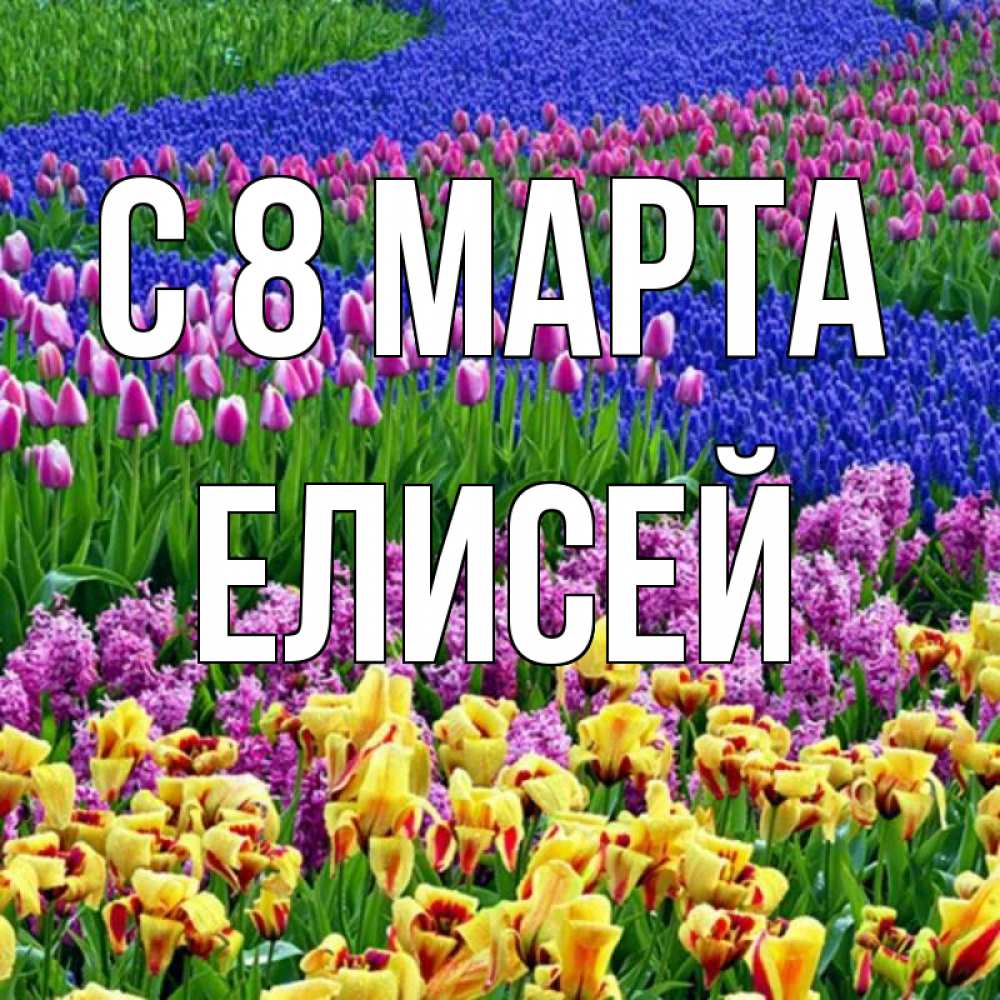Открытка на каждый день с именем, Елисей С 8 МАРТА цветы Прикольная открытка с пожеланием онлайн скачать бесплатно 