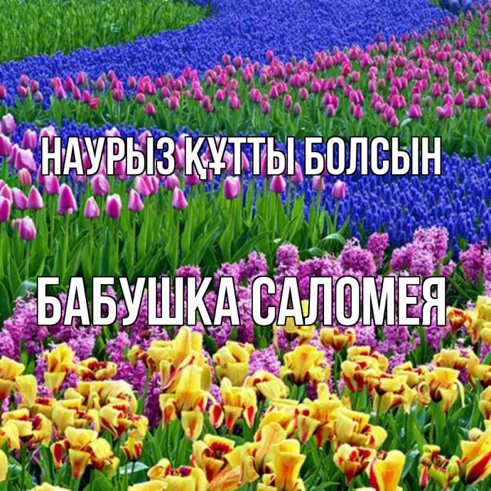 Открытка на каждый день с именем, Бабушка-Саломея Наурыз құтты болсын цветы Прикольная открытка с пожеланием онлайн скачать бесплатно 