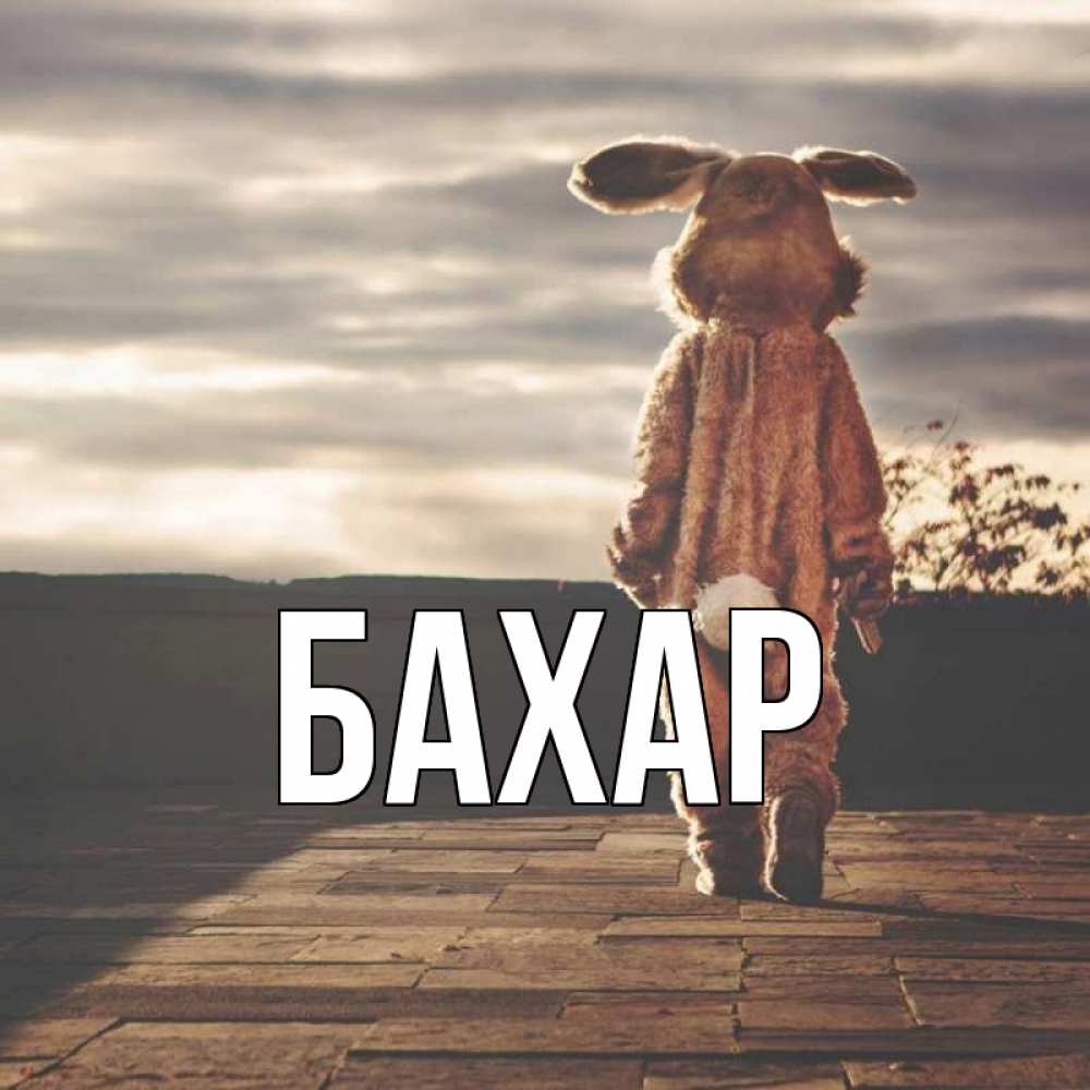 Открытка на каждый день с именем, Бахар Главная даже в костюме зайца Прикольная открытка с пожеланием онлайн скачать бесплатно 