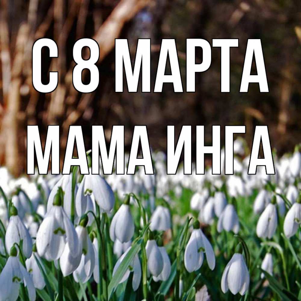 Открытка на каждый день с именем, Мама-Инга С 8 марта с подснежниками 1 Прикольная открытка с пожеланием онлайн скачать бесплатно 