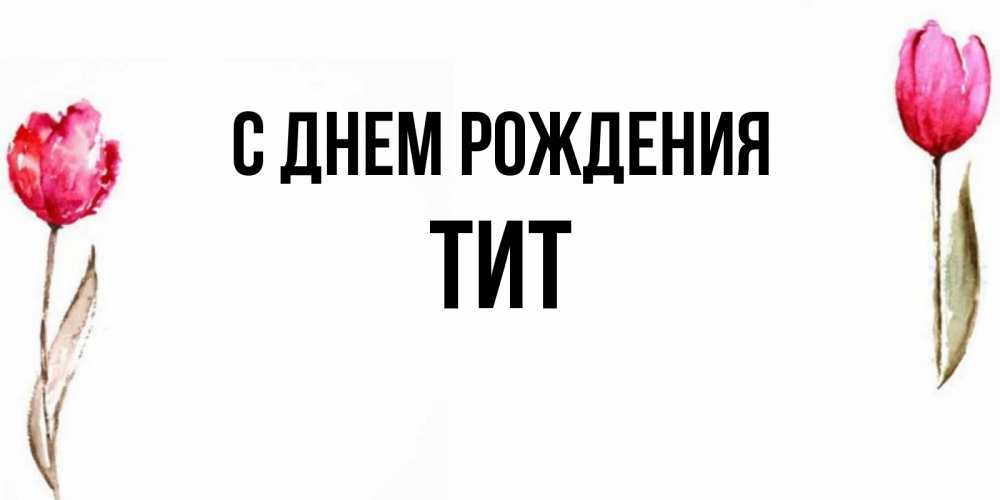 Открытка на каждый день с именем, Тит С днем рождения открытки акварелью с цветами Прикольная открытка с пожеланием онлайн скачать бесплатно 