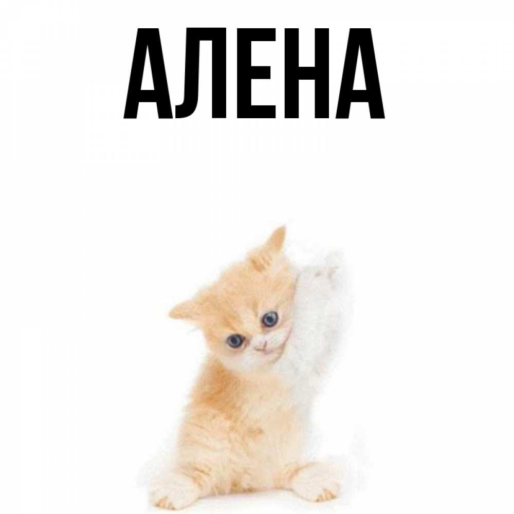 Про алену картинки