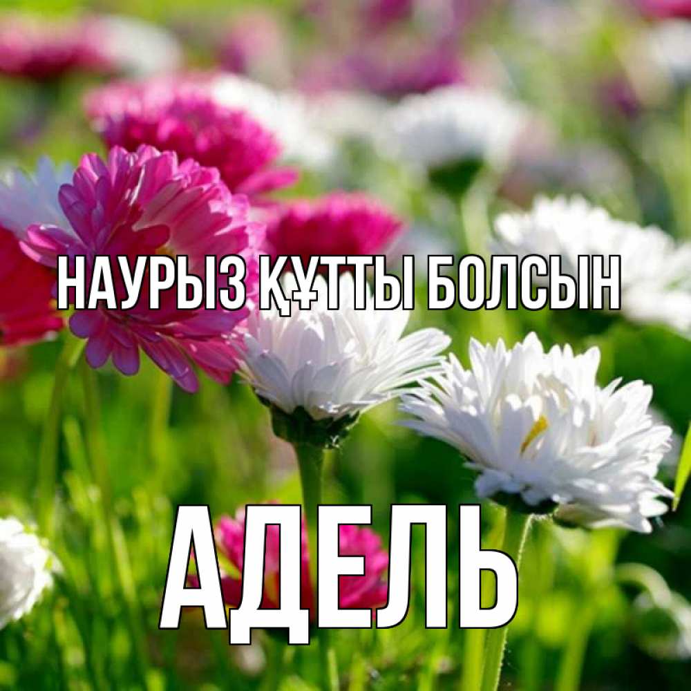Открытка на каждый день с именем, Адель Наурыз құтты болсын наурыз Прикольная открытка с пожеланием онлайн скачать бесплатно 