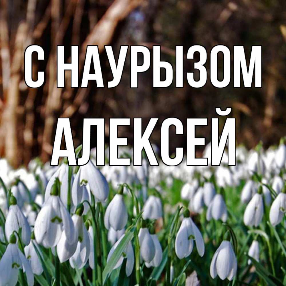Открытка на каждый день с именем, Алексей С наурызом с подснежниками 1 Прикольная открытка с пожеланием онлайн скачать бесплатно 