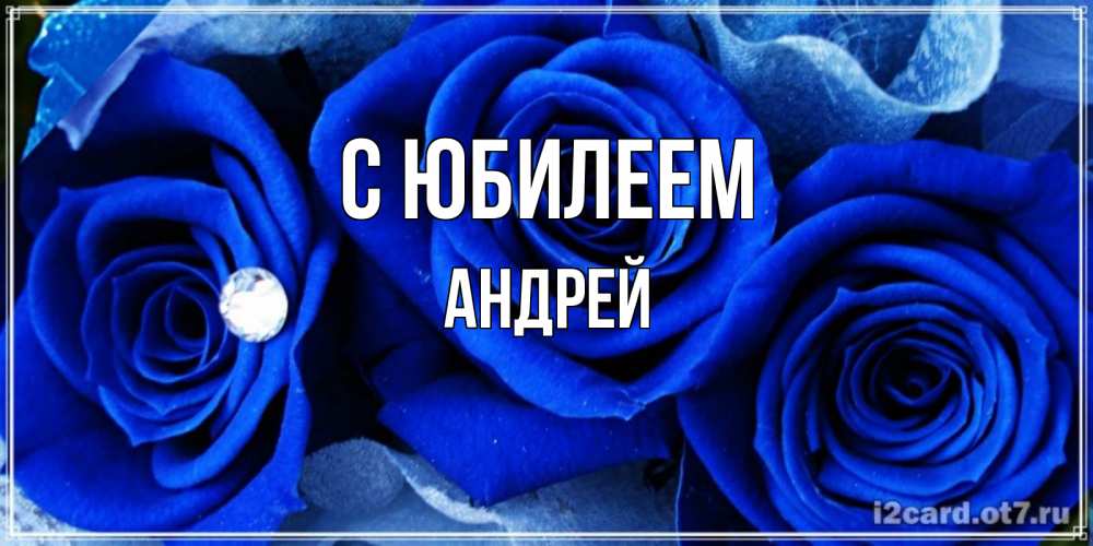 Открытка на каждый день с именем, Андрей С юбилеем синие розы в росе Прикольная открытка с пожеланием онлайн скачать бесплатно 