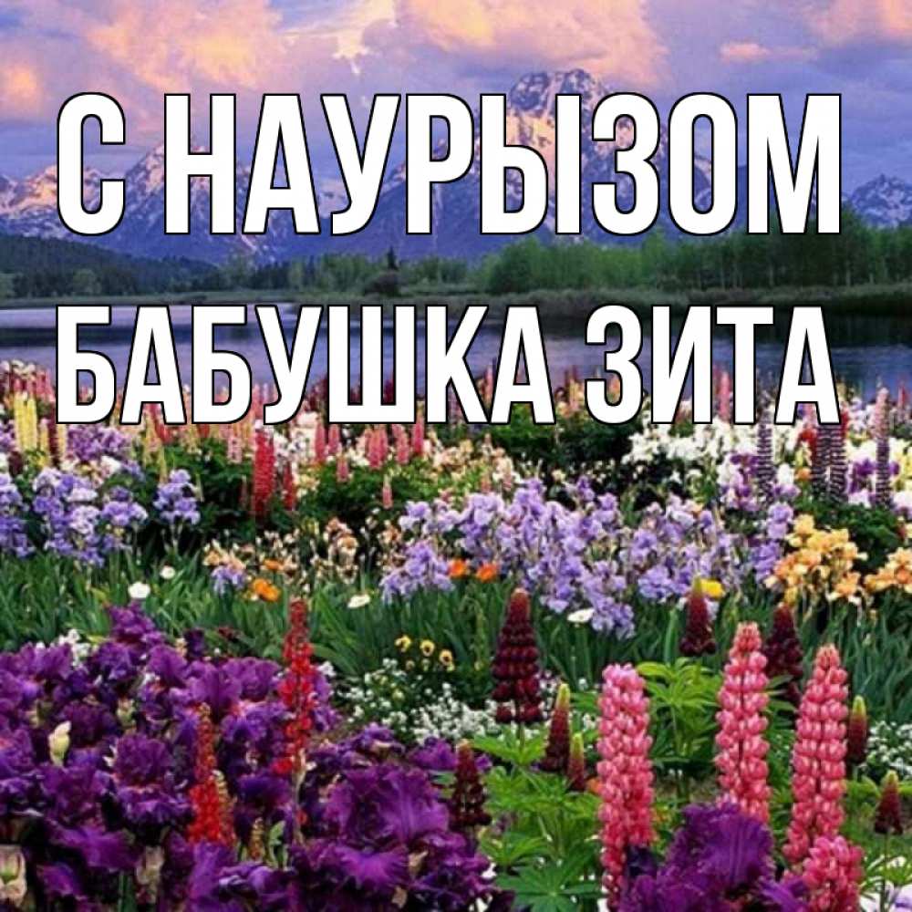 Открытка на каждый день с именем, Бабушка-Зита С наурызом праздник весны наурыз Прикольная открытка с пожеланием онлайн скачать бесплатно 