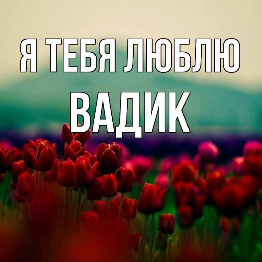 Открытка на каждый день с именем, Вадик Я тебя люблю тюльпаны 4 Прикольная открытка с пожеланием онлайн скачать бесплатно 