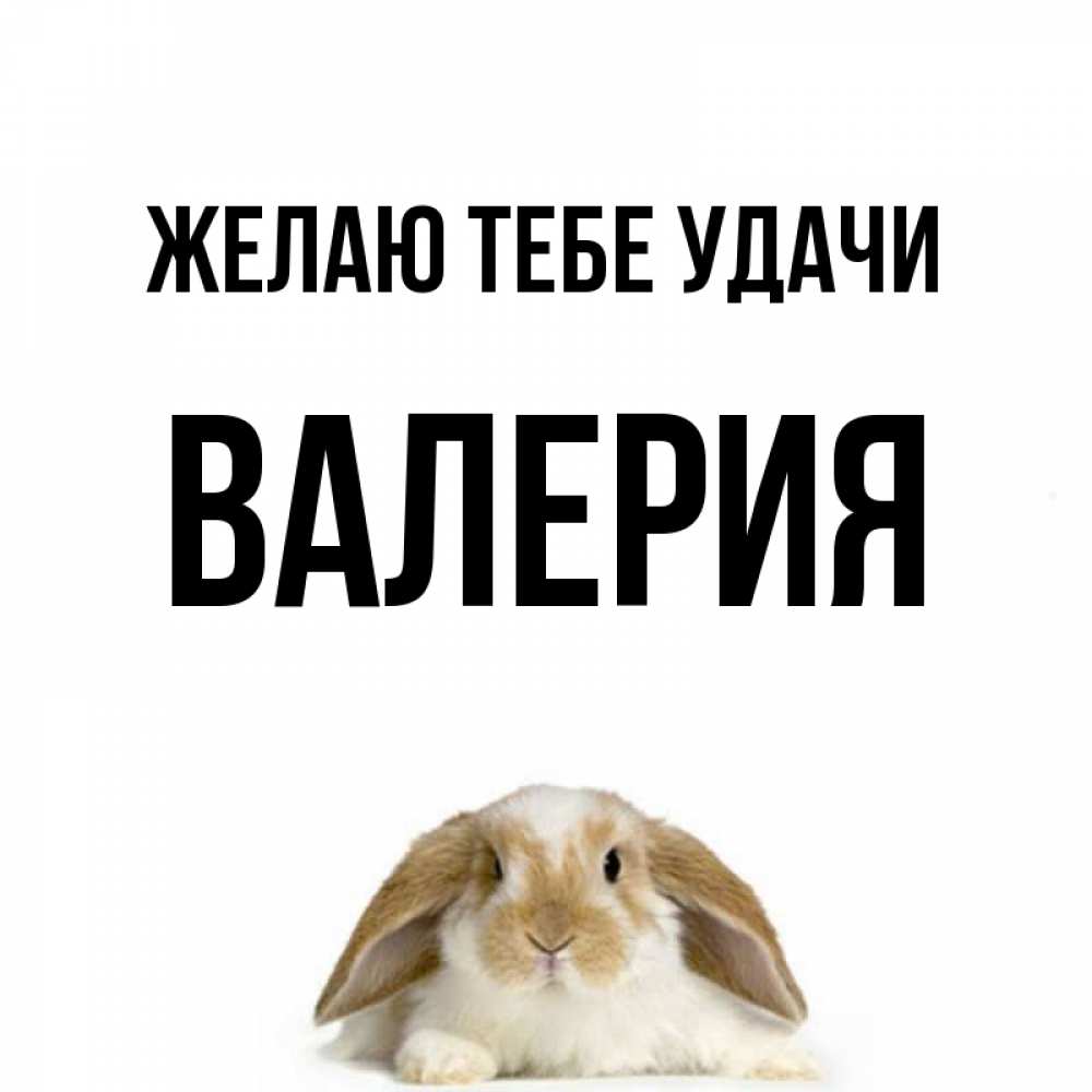 Открытка на каждый день с именем, Валерия Желаю тебе удачи открытки с произвольным текстом который можно вставить в открытку и создать ее самостоятельно бесплатно онлайн Прикольная открытка с пожеланием онлайн скачать бесплатно 