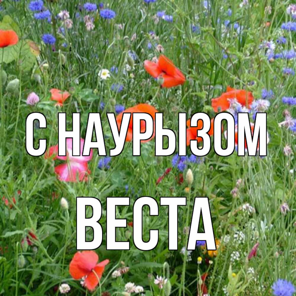 Открытка на каждый день с именем, Веста С наурызом праздник весны наурыз супер открытка Прикольная открытка с пожеланием онлайн скачать бесплатно 