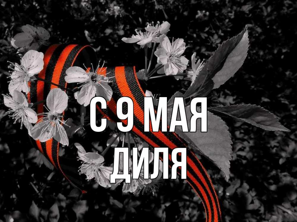 Открытка на каждый день с именем, Диля С 9 мая 9 мая Прикольная открытка с пожеланием онлайн скачать бесплатно 