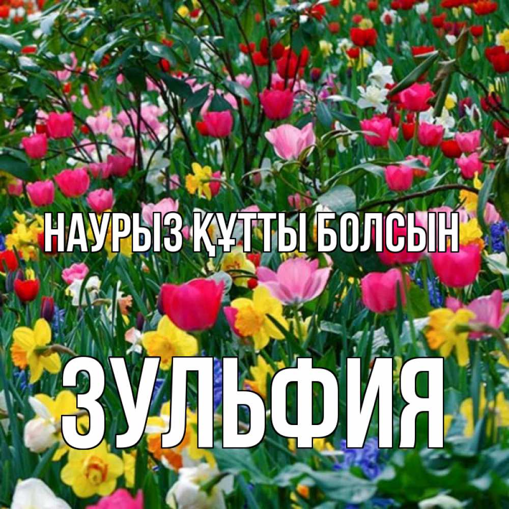 Открытка на каждый день с именем, Зульфия Наурыз құтты болсын с наурызом поздравления для женщины Прикольная открытка с пожеланием онлайн скачать бесплатно 
